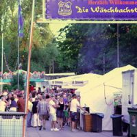 waeschbachstelzenfest2013-01